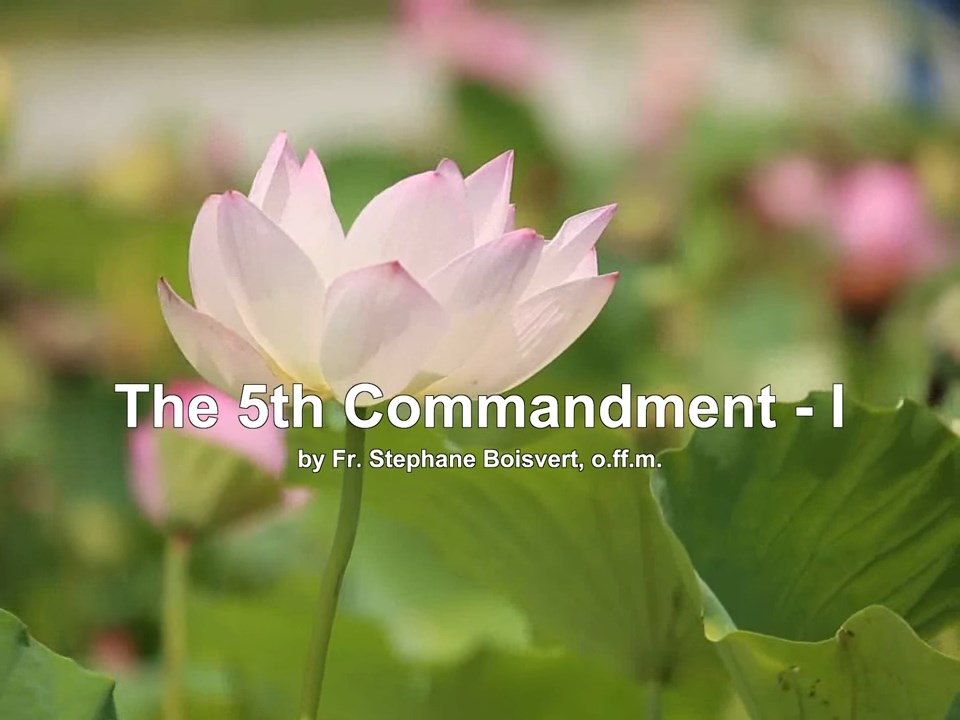 Le 5e commandement I|The 5th Commandment I