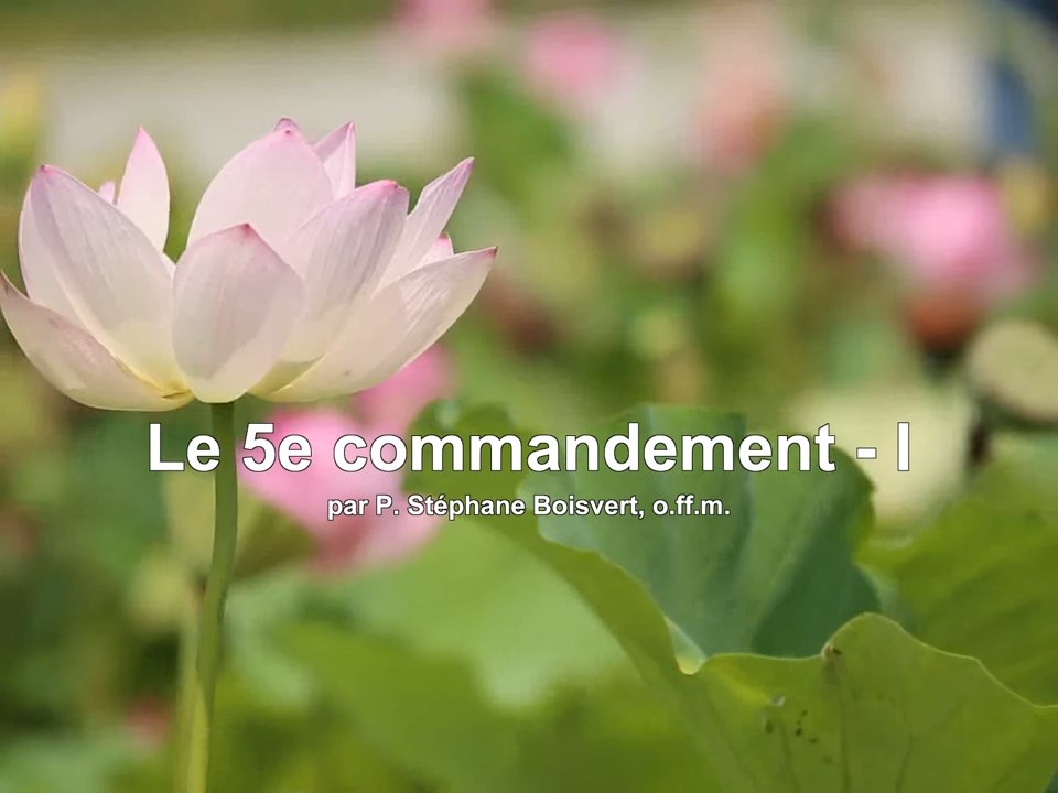 Le 5e commandement I|The 5th Commandment I